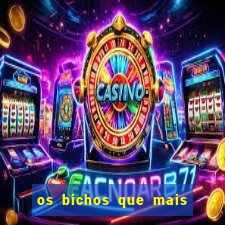 os bichos que mais saem na loteria federal